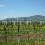 Appartement - Kern *