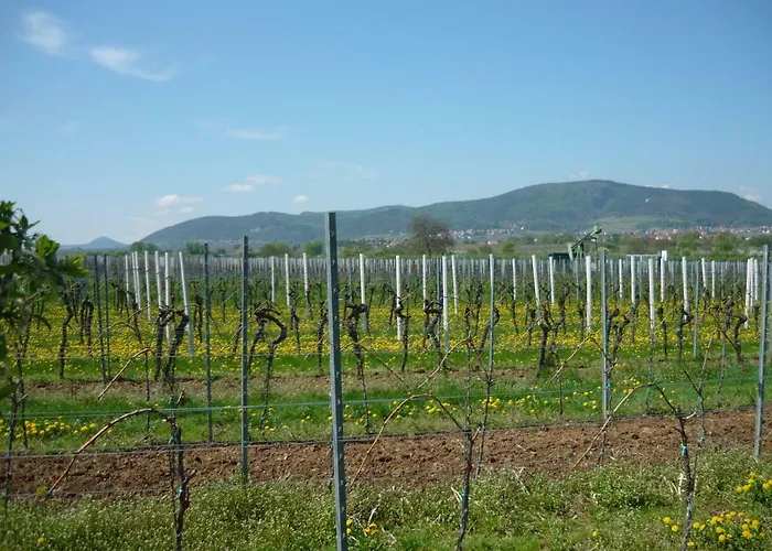 アパート - Kern *